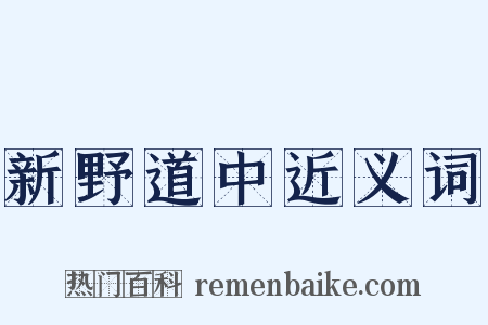 新野道中近义词是什么意思的图片